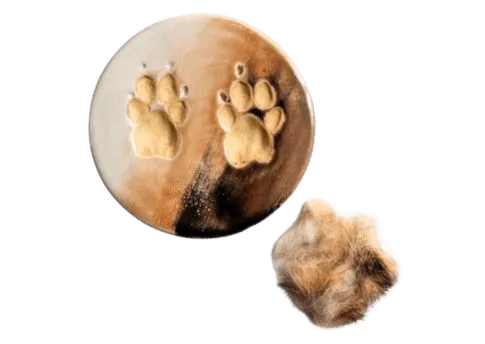 Fur match ceramic paw