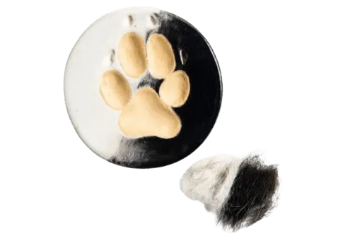 Fur match ceramic paw