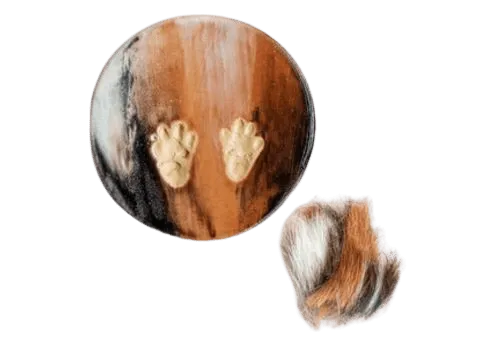 Fur match ceramic paw
