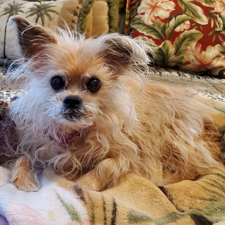 Charlee
