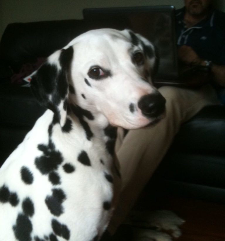 zoey